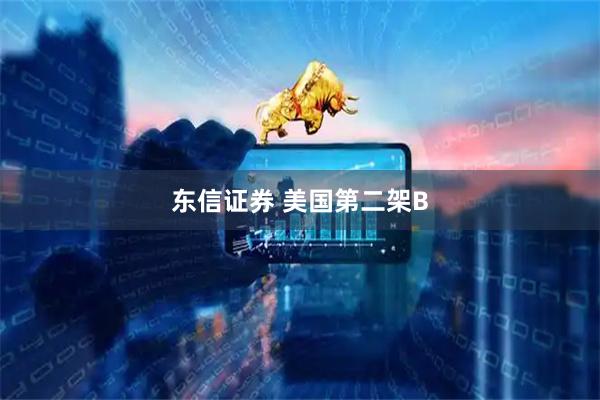 东信证券 美国第二架B